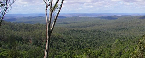Coominglah State Forest